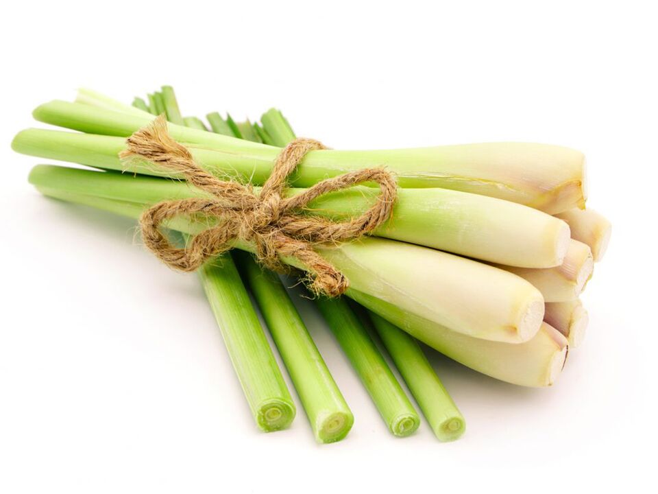 Herba de limón en valor zxcvbnmq